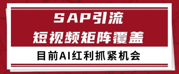 小红书与某音联手：SAP赛道引流获客，自热矩阵每日吸引200+用户-北漠网络