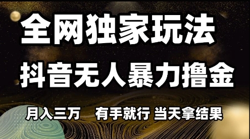 全网独家抖音无人效益玩法：轻松月入3万，手把手教你当天见效-北漠网络